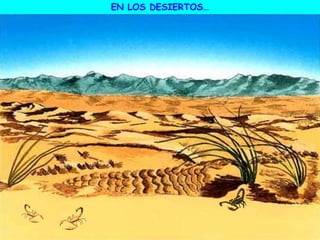 EN LOS DESIERTOS…
 