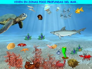 VIVEN EN ZONAS POCO PROFUNDAS DEL MAR…
 