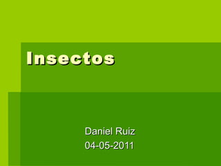 Insectos Daniel Ruiz 04-05-2011 