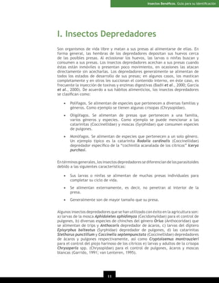 Insectos Benéﬁcos. Guía para su Identiﬁcación

I. Insectos Depredadores
Son organismos de vida libre y matan a sus presas al alimentarse de ellas. En
forma general, las hembras de los depredadores depositan sus huevos cerca
de las posibles presas. Al eclosionar los huevos, las larvas o ninfas buscan y
consumen a sus presas. Los insectos depredadores acechan a sus presas cuando
éstas están inmóviles o presentan poco movimiento, en ocasiones las atacan
directamente sin acecharlas. Los depredadores generalmente se alimentan de
todos los estados de desarrollo de sus presas; en algunos casos, los mastican
completamente y en otros les succionan el contenido interno, en éste caso, es
frecuente la inyección de toxinas y enzimas digestivas (Badii et al., 2000; García
et al., 2000). De acuerdo a sus hábitos alimenticios, los insectos depredadores
se clasiﬁcan como:
•

Polífagos. Se alimentan de especies que pertenecen a diversas familias y
géneros. Como ejemplo se tienen algunas crisopas (Chrysopidae).

•

Oligófagos. Se alimentan de presas que pertenecen a una familia,
varios géneros y especies. Como ejemplo se puede mencionar a las
catarinitas (Coccinellidae) y moscas (Syrphidae) que consumen especies
de pulgones.

•

Monófagos. Se alimentan de especies que pertenecen a un solo género.
Un ejemplo típico es la catarinita Rodolia cardinalis (Coccinellidae)
depredador especíﬁco de la “cochinilla acanalada de los cítricos” Icerya
purchasi.

En términos generales, los insectos depredadores se diferencian de los parasitoides
debido a las siguientes características:
•

Sus larvas o ninfas se alimentan de muchas presas individuales para
completar su ciclo de vida.

•

Se alimentan externamente, es decir, no penetran al interior de la
presa.

•

Generalmente son de mayor tamaño que su presa.

Algunos insectos depredadores que se han utilizado con éxito en la agricultura son:
a) larvas de la mosca Aphidoletes aphidimyza (Cecidomyiidae) para el control de
pulgones, b) diversas especies de chinches del género Orius (Anthocoridae) que
se alimentan de trips y Anthocoris depredador de ácaros, c) larvas del díptero
Episyrphus balteatus (Syrphidae) depredador de pulgones, d) las catarinitas
Stethorus punctillum y Coccinella septempunctata (Coccinellidae) depredadores
de ácaros y pulgones respectivamente, así como Cryptolaemus montrouzieri
para el control del piojo harinoso de los cítricos e) larvas y adultos de la crisopa
Chrysoperla spp. (Chrysopidae) para el control de pulgones, ácaros y moscas
blancas (Garrido, 1991; van Lenteren, 1995).

11

 