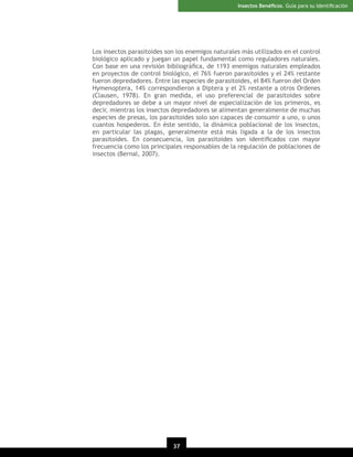 Insectos Benéﬁcos. Guía para su Identiﬁcación

Los insectos parasitoides son los enemigos naturales más utilizados en el control
biológico aplicado y juegan un papel fundamental como reguladores naturales.
Con base en una revisión bibliográﬁca, de 1193 enemigos naturales empleados
en proyectos de control biológico, el 76% fueron parasitoides y el 24% restante
fueron depredadores. Entre las especies de parasitoides, el 84% fueron del Orden
Hymenoptera, 14% correspondieron a Diptera y el 2% restante a otros Ordenes
(Clausen, 1978). En gran medida, el uso preferencial de parasitoides sobre
depredadores se debe a un mayor nivel de especialización de los primeros, es
decir, mientras los insectos depredadores se alimentan generalmente de muchas
especies de presas, los parasitoides solo son capaces de consumir a uno, o unos
cuantos hospederos. En éste sentido, la dinámica poblacional de los insectos,
en particular las plagas, generalmente está más ligada a la de los insectos
parasitoides. En consecuencia, los parasitoides son identiﬁcados con mayor
frecuencia como los principales responsables de la regulación de poblaciones de
insectos (Bernal, 2007).

37

 