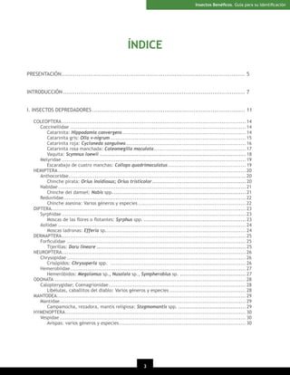 Insectos Benéﬁcos. Guía para su Identiﬁcación

ÍNDICE
PRESENTACIÓN................................................................................................ 5
INTRODUCCIÓN ............................................................................................... 7
I. INSECTOS DEPREDADORES ................................................................................ 11
COLEOPTERA .......................................................................................................... 14
Coccinellidae ..................................................................................................... 14
Catarinita: Hippodamia convergens ....................................................................... 14
Catarinita gris: Olla v-nigrum .............................................................................. 15
Catarinita roja: Cycloneda sanguinea ..................................................................... 16
Catarinita rosa manchada: Coleomegilla maculata ..................................................... 17
Vaquita: Scymnus loewii .................................................................................... 18
Melyridae .......................................................................................................... 19
Escarabajo de cuatro manchas: Collops quadrimaculatus ............................................. 19
HEMIPTERA ............................................................................................................ 20
Anthocoridae...................................................................................................... 20
Chinche pirata: Orius insidiosus; Orius tristicolor ...................................................... 20
Nabidae ............................................................................................................ 21
Chinche del damsel: Nabis spp. ............................................................................ 21
Reduviidae......................................................................................................... 22
Chinche asesina: Varios géneros y especies .............................................................. 22
DIPTERA................................................................................................................ 23
Syrphidae .......................................................................................................... 23
Moscas de las ﬂores o ﬂotantes: Syrphus spp. ........................................................... 23
Asilidae ............................................................................................................ 24
Moscas ladronas: Efferia sp. ................................................................................ 24
DERMAPTERA .......................................................................................................... 25
Forﬁculidae ....................................................................................................... 25
Tijerillas: Doru lineare ...................................................................................... 25
NEUROPTERA.......................................................................................................... 26
Chrysopidae ....................................................................................................... 26
Crisópidos: Chrysoperla spp. .............................................................................. 26
Hemerobiidae ..................................................................................................... 27
Hemeróbidos: Megalomus sp., Nusalala sp., Sympherobius sp. ...................................... 27
ODONATA .............................................................................................................. 28
Calopterygidae; Coenagrionidae ............................................................................... 28
Libélulas, caballitos del diablo: Varios géneros y especies ............................................ 28
MANTODEA............................................................................................................. 29
Mantidae ........................................................................................................... 29
Campamocha, rezadora, mantis religiosa: Stagmomantis spp. ....................................... 29
HYMENOPTERA ........................................................................................................ 30
Vespidae ........................................................................................................... 30
Avispas: varios géneros y especies ......................................................................... 30

3

 