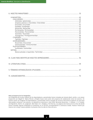 Insectos Benéﬁcos. Guía para su Identiﬁcación

II. INSECTOS PARASITOIDES ................................................................................. 35
HYMENOPTERA ........................................................................................................ 40
CHALCIDOIDEA .................................................................................................... 40
Afelínidos: Aphelinidae ...................................................................................... 40
Avispitas patonas o chalcídidos: Chalcididae ............................................................ 41
Encírtidos: Encyrtidae ....................................................................................... 42
Eulóﬁdos: Eulophidae ........................................................................................ 43
Mimáridos: Mymaridae....................................................................................... 44
Perilámpidos: Perilampidae ................................................................................. 45
Pteromálidos: Pteromalidae ................................................................................ 46
Torímidos: Torymidae ........................................................................................ 47
Trichograma: Trichogrammatidae .......................................................................... 48
CYNIPOIDEA ....................................................................................................... 49
Figítidos: Figitidae ........................................................................................... 49
ICHNEUMONOIDEA ................................................................................................ 50
Bracónidos: Braconidae ..................................................................................... 50
Ichneumónidos: Ichneumonidae............................................................................ 51
PLATYGASTROIDEA ............................................................................................... 52
Sceliónidos: Scelionidae ..................................................................................... 52
DIPTERA................................................................................................................ 53
Moscas peludas o taquínidos: Tachinidae ................................................................. 53

III. CLAVE PARA IDENTIFICAR INSECTOS DEPREDADORES................................................ 56
IV. LITERATURA CITADA ...................................................................................... 59
V. TÉRMINOS ENTOMOLÓGICOS UTILIZADOS .............................................................. 67
VI. AGRADECIMIENTOS ....................................................................................... 72

Nota aclaratoria de las fotografías:
Las fotografías de la gran mayoría de los depredadores y parasitoides fueron tomadas por Antonio Marín Jarillo, y en menor
proporción por Miguel B. Nájera Rincón y Brígida Souza como parte del proyecto de colaboración entre los autores. Un
número menor de imágenes de depredadores y parasitoides fueron tomadas de archivos electrónicos públicos sin que haya
sido posible contactar a los autores, no obstante se menciona a: Alex Wild, Bernardo Navarrete, J. Lehkola, J. K. Lindsey,
Joe Ogrodnick, Marlin, M. Langbroek, Matt Opel, M. E. Badgley y Tom Murray. Las páginas electrónicas de los sitios de donde
fueron tomadas algunas fotografías se presentan en la sección correspondiente a Literatura Citada. Nuestro interés por
ilustrar de la mejor manera posible el presente libro ha sido sin ﬁnes de lucro.

4
20

 