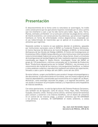 Insectos Benéﬁcos. Guía para su Identiﬁcación

Presentación
El desconocimiento de la forma como la naturaleza se autorregula, ha traído
como consecuencia que los agricultores hayamos transitado por el único camino
que nos enseñaron a usar y que ha sido nocivo para todos –Agua, Aire, Tierra,
Plantas, Animales y el Hombre- en su lucha por controlar las plagas de los cultivos
de interés económico, con consecuencias muy dolorosas, que provocan tragedias
familiares en forma de enfermedades crónico degenerativas, originadas por
el uso indiscriminado de insecticidas que se aplican en la producción de los
alimentos que ingerimos.
Deseando cambiar la manera en que podemos abordar el problema, apoyados
por instituciones nacionales como el INIFAP, La Fundación Produce Michoacán,
el Centro Nacional de Referencia de Control Biológico (CNRCB), la Universidad
Michoacana de San Nicolás de Hidalgo (UMSNH), El Centro de Investigaciones en
Ecosistemas (CIEco-UNAM) Campus Morelia así como instituciones internacionales
como la Universidade Federal de Lavras (UFLA), Minas Gerais, Brasil y el Instituto
de Investigaciones de Sanidad Vegetal de Cuba, mediante expertos investigadores
coordinados por Miguel B. Nájera Rincón, investigador titular del INIFAP, un
grupo de 135 productores y técnicos convocados por la Sociedad de Producción
Rural “Productores Agropecuarios por la Calidad” (PROCAL), nos iniciamos en el
conocimiento del mundo de los insectos y microorganismos benéﬁcos, su hábitat
y cómo podemos cuidarlos y reproducirlos mediante seis talleres de capacitación,
llevados a cabo a partir de Mayo del año 2009 a Junio del año 2010.
De estos talleres, surgen una biofábrica para producir hongos entomopatógenos y
dos documentos: el que ahora tienes en tus manos, que nos muestra algunos de los
insectos depredadores y parasitoides que encontramos en la región de Los Reyes,
Michoacán, como enemigos naturales de plagas; y un segundo documento, que
nos ayuda a reconocer las principales malezas y su importancia como hospederas
de insectos benéﬁcos.
Con estas aportaciones, no solo los Agricultores del Sistema Producto Zarzamora,
sino también los de Aguacate, Caña de azúcar, Fresa, Papa, Maíz, Hortalizas,
Guayaba, Durazno, Limón, Toronja y otros cultivos, tenemos nuevas herramientas
para conocer y conservar a los insectos benéﬁcos, con el objeto de utilizarlos
en el control de los insectos plaga, y producir alimentos que NO ENFERMAN
a las personas y animales, NI CONTAMINAN el medio ambiente, a costos
competitivos.
Ing. Juan José Hernández Segura
Secretario de PROCAL, SPR de RL

5

 