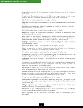 Insectos Benéﬁcos. Guía para su Identiﬁcación

Metamorfosis: cambios de forma durante el desarrollo de un insecto; se reconocen
varios tipos.
Metatórax: el tórax de los insectos está dividido en tres segmentos; el metatórax es el
posterior, donde se insertan el segundo par de alas y el tercer par de patas.
Micobionte: parte de un liquen compuesta por un hongo.
Monófago: organismo que consume solamente un tipo de planta o animal como hospedero
o presa.
Morfología: en biología es la disciplina encargada del estudio de la forma, estructura y
transformaciones de un organismo.
Multivoltino: especie que completa dos o más generaciones al año.
Nervaduras: conjunto de conductos que permiten la circulación de la hemolinfa y dan
sostén a las alas de los insectos.
Ninfa: insecto en fase inmadura que va desde la eclosión del huevo hasta la fase adulta
(en insectos con metamorfosis incompleta); es decir, que durante su desarrollo no
presentan estado larvario, en ese estado aún no alcanzan la madurez sexual.
Oligófago: organismo que consume un número limitado de tipos de plantas o animales
como hospederos o presas.
Ooteca: estuche que cubre o encierra los huevos de algunos insectos.
Orden: agrupamiento jerárquico del sistema taxonómico utilizado en la clasiﬁcación
cientíﬁca de los seres vivos, puede agrupar a diversas familias.
Oviposición: acción de poner o depositar huevos por parte de la hembra.
Ovipositor: estructura en forma de tubo o valva, puede estar expuesta o retraída, con
la cual se depositan los huevos en substratos especíﬁcos.
Ovogénesis: proceso de formación y diferenciación de los óvulos (células sexuales
femeninas).
Parasitoide: insecto parásito interno o externo de otro artrópodo. Es parasítico solamente
durante los estados inmaduros, los que destruyen al hospedero durante el proceso de
desarrollo; vive libremente en el estado adulto.
Pedicelo (de un huevo): estructura que une el huevo de algunos insectos con el substrato
donde son depositados, le sostiene y brinda protección.
Planidia: tipo especializado de larva del primer estadio que ocurre en grupos de insectos
que son parasitoides, tiene el cuerpo aplanado, quitinizado (endurecido), y cubierto con
setas que tienen funciones locomotoras, generalmente son muy ágiles.
Pleura: área lateral de los segmentos del cuerpo de un insecto.
Poliembrionía: condición en que se produce descendencia múltiple a partir de la división
de un solo huevo, huevo puesto por el parasitoide en su hospedero; todos los descendentes
son del mismo sexo.
Polífago: organismo que consume una gran variedad de plantas o animales como
hospederos o presas. También llamado generalista.
Polinizador: insecto que transporta polen de la antera (órgano masculino de la ﬂor) al
estigma (órgano femenino) permitiendo la fertilización.
Presa: organismo que es capturado y consumido total o parcialmente por un
depredador.

70
20

 