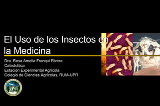 z El Uso de los Insectos en la Medicina Dra. Rosa Amelia Franqui Rivera Catedrática Estación Experimental Agrícola Colegio de Ciencias Agrícolas, RUM-UPR 