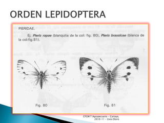 CFGM T Agropecuario - Cartaya,
        2010-11 - Uxío Otero
 