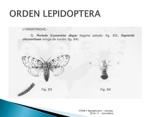 CFGM T Agropecuario - Cartaya,
        2010-11 - Uxío Otero
 