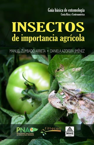INSECTOS
de importancia agrícola
Guía básica de entomología
Costa Rica y Centroamérica
MANUEL ZUMBADOARRIETA • DANIELAAZOFEIFA JIMÉNEZ
 