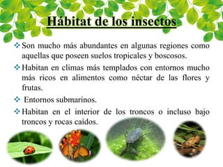 Hábitat de los insectos
Son mucho más abundantes en algunas regiones como
aquellas que poseen suelos tropicales y boscosos.
Habitan en climas más templados con entornos mucho
más ricos en alimentos como néctar de las flores y
frutas.
 Entornos submarinos.
Habitan en el interior de los troncos o incluso bajo
troncos y rocas caídos.
 