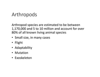 Arthropods
Arthropod species are estimated to be between 
1,170,000 and 5 to 10 million and account for over 
80% of all known living animal species
• Small size, in many cases
• Flight
• Adaptability
• Mutation
• Exoskeleton
 