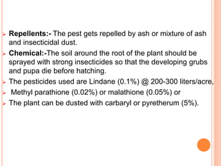 Met Ash Powder Insecticide Insect Pests of Vegetable, Ornamental and Spice Crops | PPTX