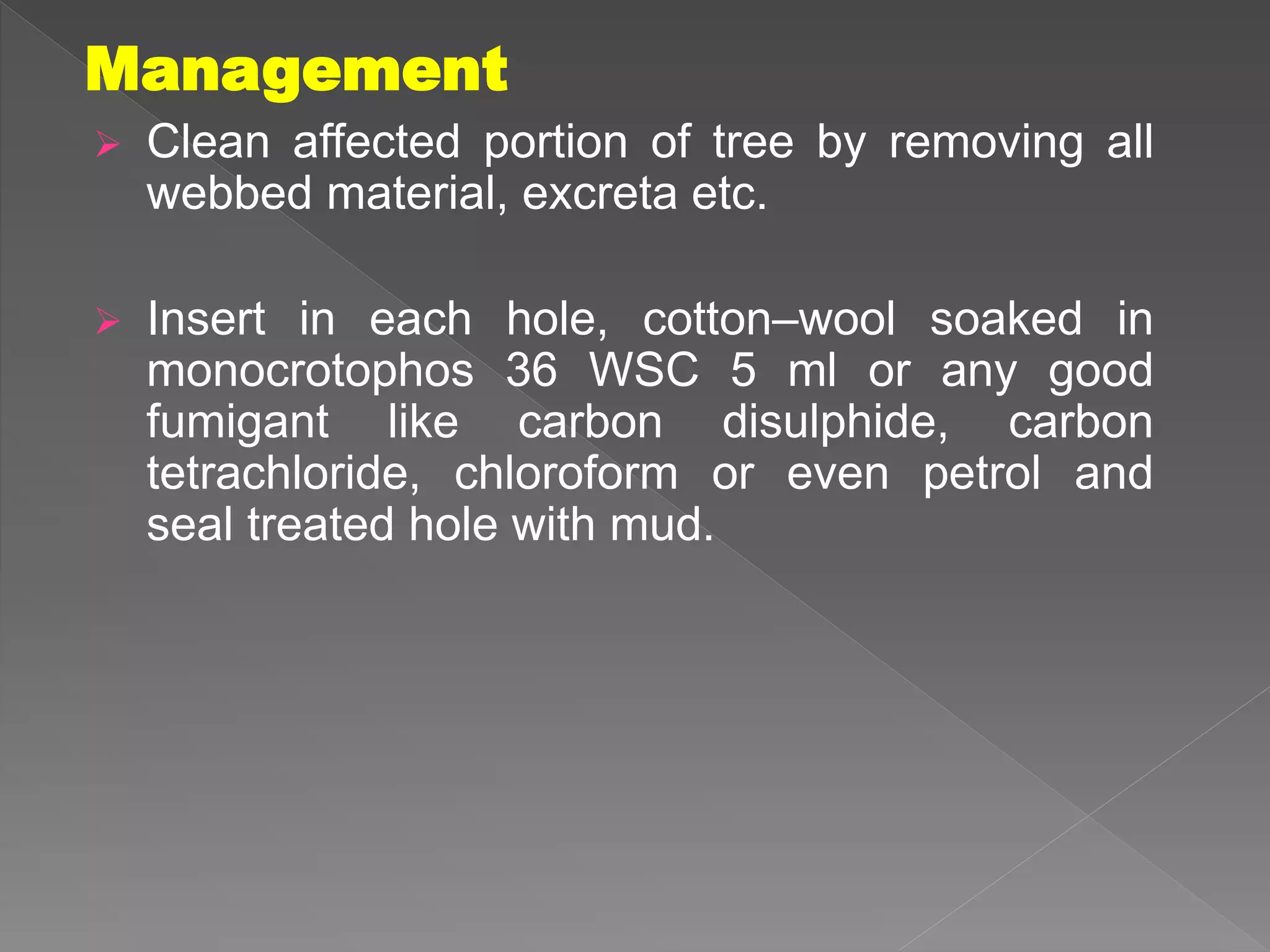 Insect pest of drumstick | PPTX