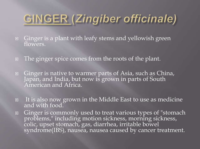 Insect pest of gingeR | PPTX