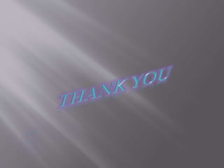 Insect pest of gingeR