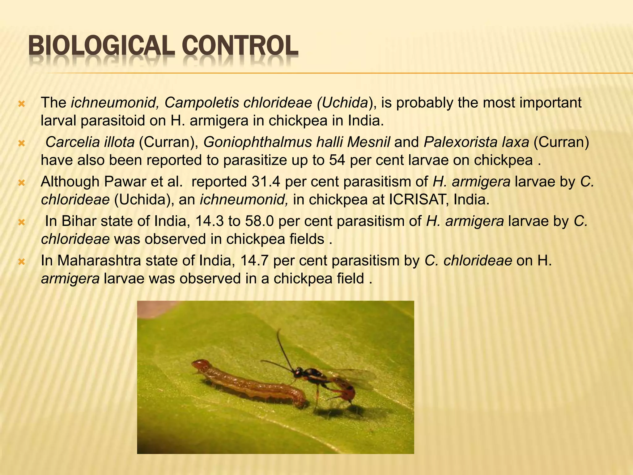 Insect pest of gram pod caterpillar | PPTX