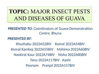 Guavan Insecto Comprehensive Guide to Major Insect Pests and Diseases of Guava | PPTX