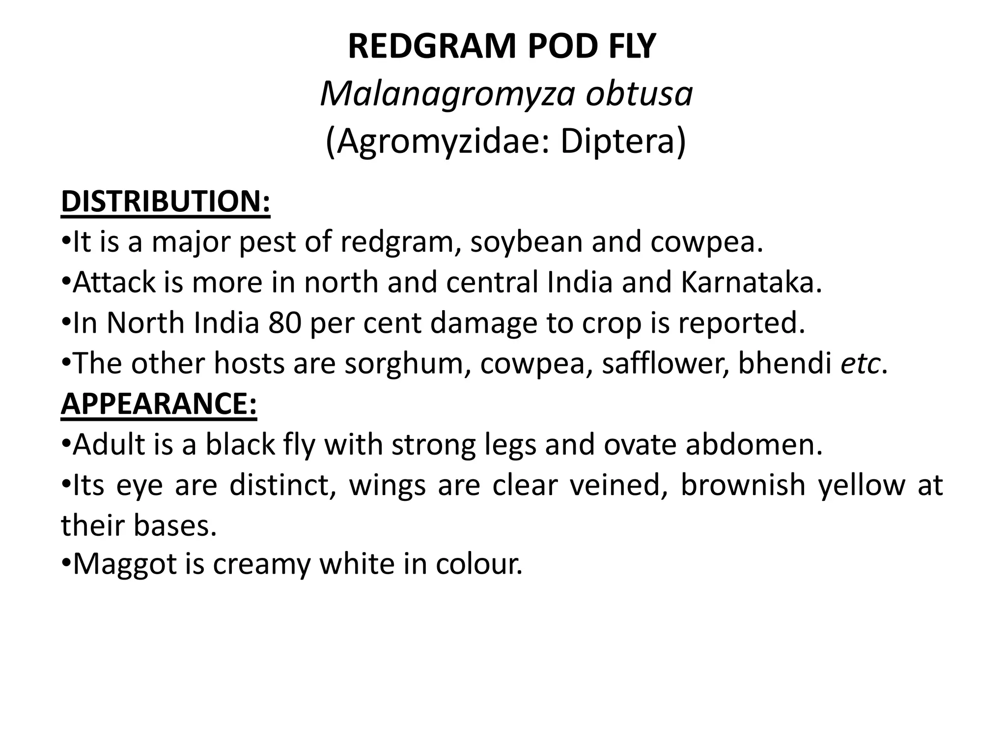 Insect pest of red gram | PPTX