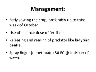 Management:
• Early sowing the crop, preferably up to third
week of October.
• Use of balance dose of fertilizer.
• Releasing and rearing of predator like ladybird
beetle.
• Spray Rogor (dimethoate) 30 EC @1ml/liter of
water.
 