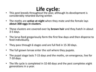 Life cycle:
• This pest breeds throughout the year, although its development is
considerably retarded during winter.
• The moths are active at night when they mate and the female lays
about 300 eggs in clusters.
• These clusters are covered over by brown hair and they hatch in about
3-5 days.
• The larva feed gregariously form the first few days and then disperse to
feed individually.
• They pass through 6 stages and are full fed in 15-30 days.
• The full grown larvae enter the soil where they pupate.
• The pupal stage lasts 7-15 days and the moths, on emergence, live for
7-10 days.
• The life cycle is completed in 32-60 days and the pest completes eight
generations in a year.
 