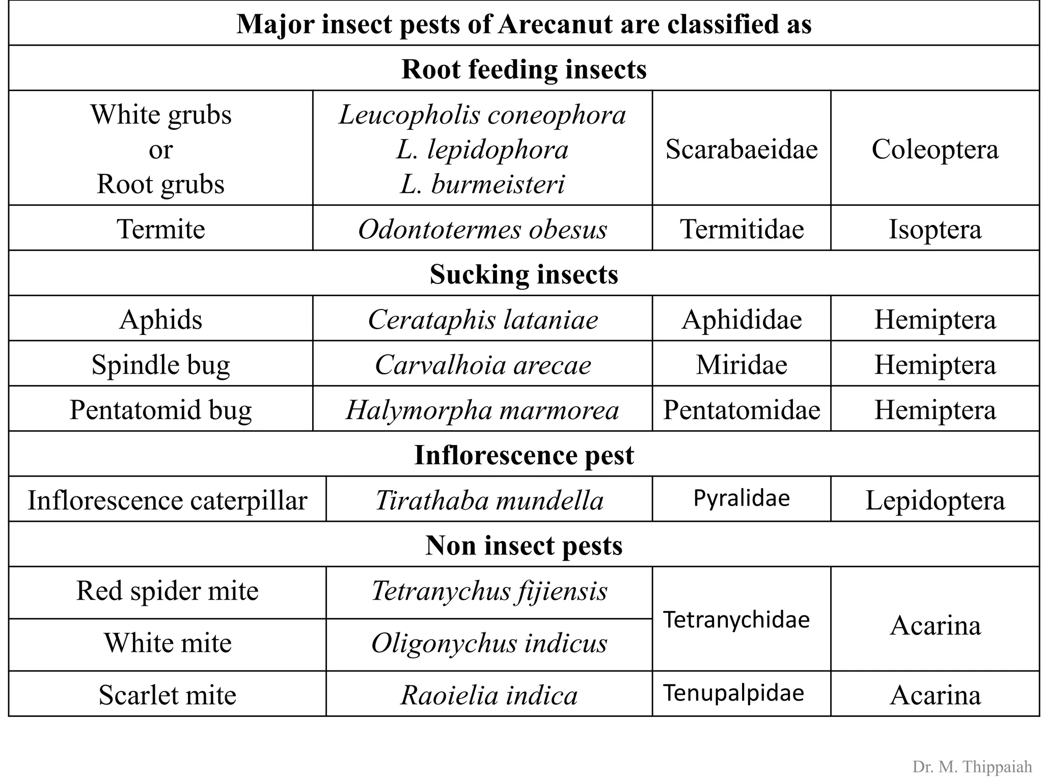Insect pests of Arecanut | PDF