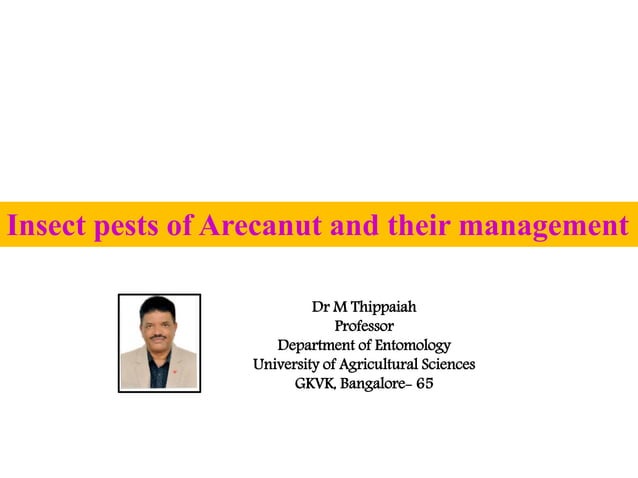 Insect pests of Arecanut | PDF