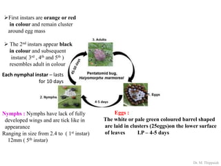 Insect pests of Arecanut | PDF