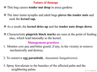 Insect pests of Arecanut | PDF