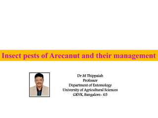 Insect pests of Arecanut and their management
Dr M Thippaiah
Professor
Department of Entomology
University of Agricultural Sciences
GKVK, Bangalore- 65
 