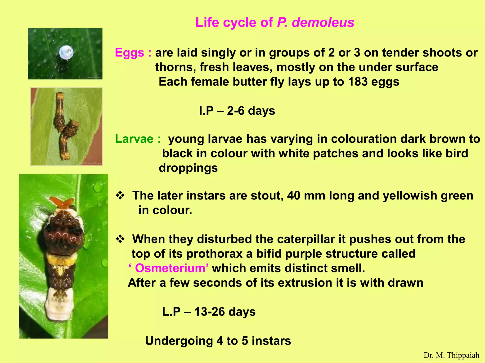 Insect pests of citrus and their control | PDF