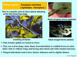 Insect pests of citrus and their control | PDF