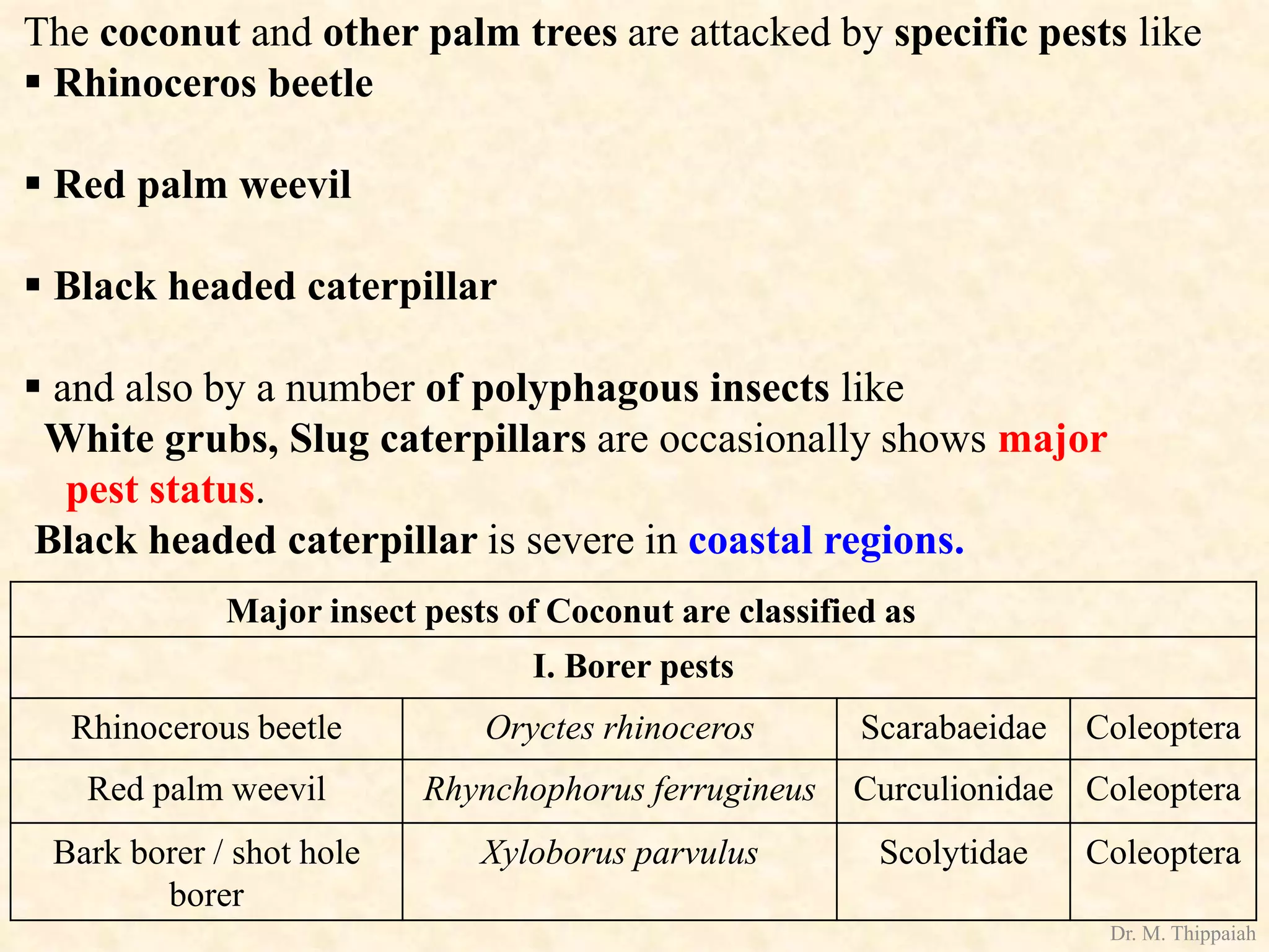 Insect pests of Cococnut | PDF