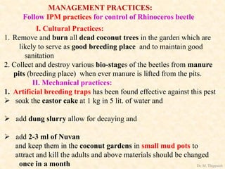 MANAGEMENT PRACTICES:
Follow IPM practices for control of Rhinoceros beetle
I. Cultural Practices:
1. Remove and burn all dead coconut trees in the garden which are
likely to serve as good breeding place and to maintain good
sanitation
2. Collect and destroy various bio-stages of the beetles from manure
pits (breeding place) when ever manure is lifted from the pits.
II. Mechanical practices:
1. Artificial breeding traps has been found effective against this pest
 soak the castor cake at 1 kg in 5 lit. of water and
 add dung slurry allow for decaying and
 add 2-3 ml of Nuvan
and keep them in the coconut gardens in small mud pots to
attract and kill the adults and above materials should be changed
once in a month Dr. M. Thippaiah
 