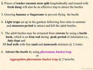 2. Pieces of tender coconut stem split longitudinally and treated with
fresh dung will also be an effective trap to attract the beetles
3. Growing banana or Sugarcane to prevent flying the beetle
4. Light traps set up in the gardens following first rains in summer
and monsoon period to attract and kill the adult beetles.
5. The adult beetles may be extracted from crowns by using a beetle
hook, which is an Iron rod during peak period of infestation i.e.,
July-Sept and
fill leaf axils with fine sand and mancozeb mixtures @ 3:1ratio
6. Attract the beetle by using pheromone bucket trap
or
Aggregation pheromone bucket trap @ 2 lures/ha
Dr. M. Thippaiah
 