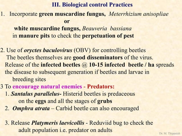 Coco Insect Insect pests of Cococnut | PDF