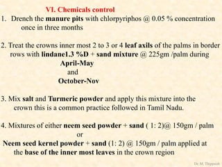 VI. Chemicals control
1. Drench the manure pits with chlorpyriphos @ 0.05 % concentration
once in three months
2. Treat the crowns inner most 2 to 3 or 4 leaf axils of the palms in border
rows with lindane1.3 %D + sand mixture @ 225gm /palm during
April-May
and
October-Nov
3. Mix salt and Turmeric powder and apply this mixture into the
crown this is a common practice followed in Tamil Nadu.
4. Mixtures of either neem seed powder + sand ( 1: 2)@ 150gm / palm
or
Neem seed kernel powder + sand (1: 2) @ 150gm / palm applied at
the base of the inner most leaves in the crown region
Dr. M. Thippaiah
 