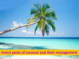 Insect pests of coconut and their management
Dr. M. Thippaiah
 