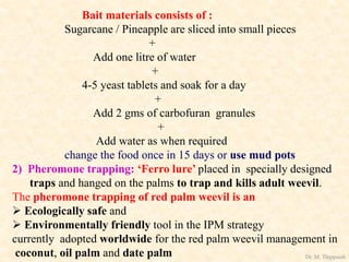 Bait materials consists of :
Sugarcane / Pineapple are sliced into small pieces
+
Add one litre of water
+
4-5 yeast tablets and soak for a day
+
Add 2 gms of carbofuran granules
+
Add water as when required
change the food once in 15 days or use mud pots
2) Pheromone trapping: ‘Ferro lure’ placed in specially designed
traps and hanged on the palms to trap and kills adult weevil.
The pheromone trapping of red palm weevil is an
 Ecologically safe and
 Environmentally friendly tool in the IPM strategy
currently adopted worldwide for the red palm weevil management in
coconut, oil palm and date palm Dr. M. Thippaiah
 
