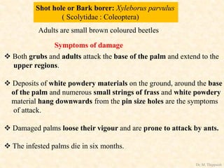 Shot hole or Bark borer: Xyleborus parvulus
( Scolytidae : Coleoptera)
Adults are small brown coloured beetles
Symptoms of damage
 Both grubs and adults attack the base of the palm and extend to the
upper regions.
 Deposits of white powdery materials on the ground, around the base
of the palm and numerous small strings of frass and white powdery
material hang downwards from the pin size holes are the symptoms
of attack.
 Damaged palms loose their vigour and are prone to attack by ants.
 The infested palms die in six months.
Dr. M. Thippaiah
 