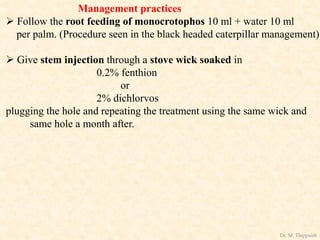 Management practices
 Follow the root feeding of monocrotophos 10 ml + water 10 ml
per palm. (Procedure seen in the black headed caterpillar management)
 Give stem injection through a stove wick soaked in
0.2% fenthion
or
2% dichlorvos
plugging the hole and repeating the treatment using the same wick and
same hole a month after.
Dr. M. Thippaiah
 