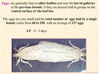 Eggs: are generally laid on older leaflets and near the larval galleries
of the previous broods, if they are present laid in groups on the
ventral surface of the leaf lets.
The eggs are very small and the total number of eggs laid by a single
female varies from 60 to 250 with an average of 137 eggs
I.P – 4 - 5 days
Dr. M. Thippaiah
 