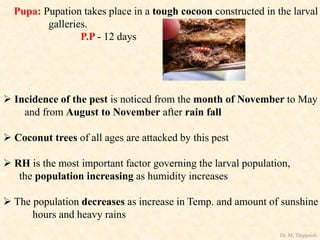 Pupa: Pupation takes place in a tough cocoon constructed in the larval
galleries.
P.P - 12 days
 Incidence of the pest is noticed from the month of November to May
and from August to November after rain fall
 Coconut trees of all ages are attacked by this pest
 RH is the most important factor governing the larval population,
the population increasing as humidity increases
 The population decreases as increase in Temp. and amount of sunshine
hours and heavy rains
Dr. M. Thippaiah
 