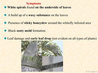 Symptoms
White spirals found on the underside of leaves
A build up of a waxy substance on the leaves
Presence of sticky honeydew around the whitefly infested area
Black sooty mold formation
Leaf damage and early leaf drop (not evident on all types of plants)
Dr. M. Thippaiah
 