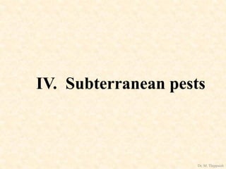 IV. Subterranean pests
Dr. M. Thippaiah
 