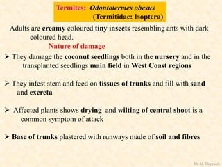  They damage the coconut seedlings both in the nursery and in the
transplanted seedlings main field in West Coast regions
 They infest stem and feed on tissues of trunks and fill with sand
and excreta
 Affected plants shows drying and wilting of central shoot is a
common symptom of attack
 Base of trunks plastered with runways made of soil and fibres
Termites: Odontotermes obesus
(Termitidae: Isoptera)
Adults are creamy coloured tiny insects resembling ants with dark
coloured head.
Nature of damage
Dr. M. Thippaiah
 