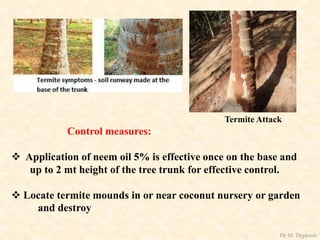 Termite Attack
Control measures:
 Application of neem oil 5% is effective once on the base and
up to 2 mt height of the tree trunk for effective control.
 Locate termite mounds in or near coconut nursery or garden
and destroy
Dr. M. Thippaiah
 