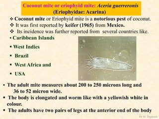 Coconut mite or eriophyid mite: Aceria guerreronis
(Eriophyidae: Acarina)
 Coconut mite or Eriophyid mite is a notorious pest of coconut.
 It was first reported by keifer (1965) from Mexico.
 Its incidence was further reported from several countries like.
 Caribbean Islands
 West Indies
 Brazil
 West Africa and
 USA
 The adult mite measures about 200 to 250 microns long and
36 to 52 micron wide.
 The body is elongated and worm like with a yellowish white in
colour.
 The adults have two pairs of legs at the anterior end of the body
Dr. M. Thippaiah
 