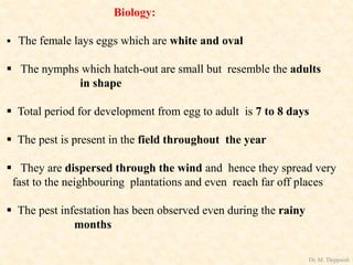 Biology:
 The female lays eggs which are white and oval
 The nymphs which hatch-out are small but resemble the adults
in shape
 Total period for development from egg to adult is 7 to 8 days
 The pest is present in the field throughout the year
 They are dispersed through the wind and hence they spread very
fast to the neighbouring plantations and even reach far off places
 The pest infestation has been observed even during the rainy
months
Dr. M. Thippaiah
 
