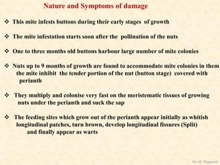 Nature and Symptoms of damage
 This mite infests buttons during their early stages of growth
 The mite infestation starts soon after the pollination of the nuts
 One to three months old buttons harbour large number of mite colonies
 Nuts up to 9 months of growth are found to accommodate mite colonies in them
the mite inhibit the tender portion of the nut (button stage) covered with
perianth
 They multiply and colonise very fast on the meristematic tissues of growing
nuts under the perianth and suck the sap
 The feeding sites which grow out of the perianth appear initially as whitish
longitudinal patches, turn brown, develop longitudinal fissures (Split)
and finally appear as warts
Dr. M. Thippaiah
 