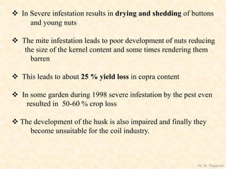  In Severe infestation results in drying and shedding of buttons
and young nuts
 The mite infestation leads to poor development of nuts reducing
the size of the kernel content and some times rendering them
barren
 This leads to about 25 % yield loss in copra content
 In some garden during 1998 severe infestation by the pest even
resulted in 50-60 % crop loss
 The development of the husk is also impaired and finally they
become unsuitable for the coil industry.
Dr. M. Thippaiah
 